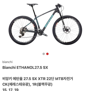 비양키 에탄올 27.5 SX XTR 22단 MTB 무광블랙(사이즈 M 168-175) 팔아요