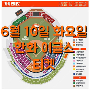 화요일 6월 10일 한화 이글스 두산 베어스 1루 3루 응원단석 내야 지정석 커플석 탁자석 포수 후면석 중앙 지정석 탁자석 외야 지정석 탁자석 밤켈존 잔디 한화 두산 야구 티켓 표