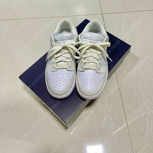 나이키 덩크로우 235