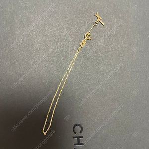 테르페