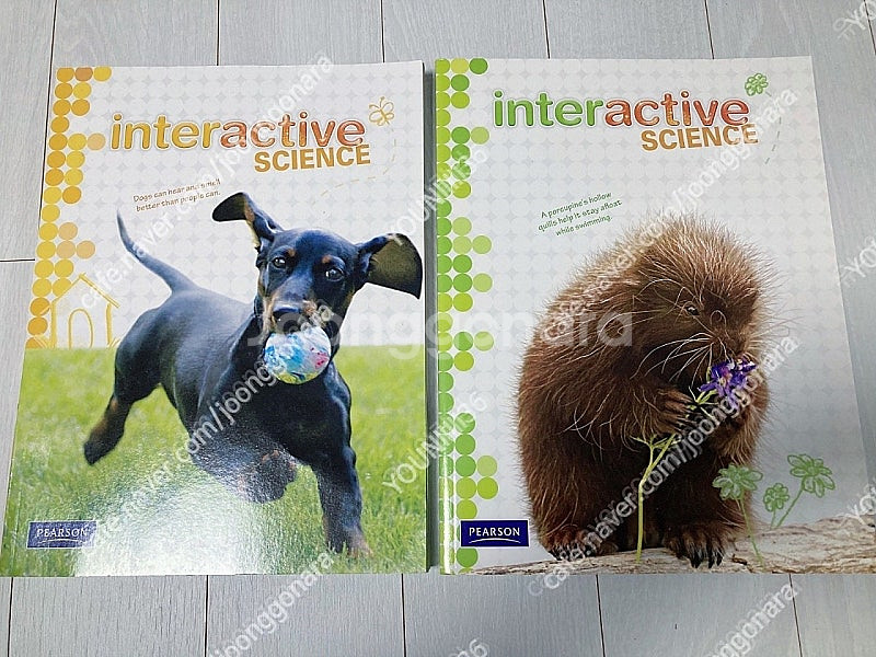 피어슨 미국 과학교과서 Interactive Scien...--0