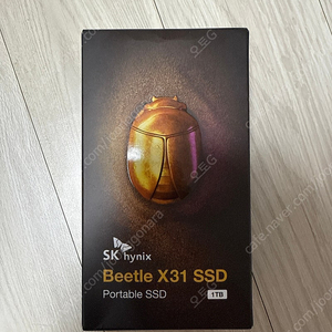 sk x31 ssd 1Tb