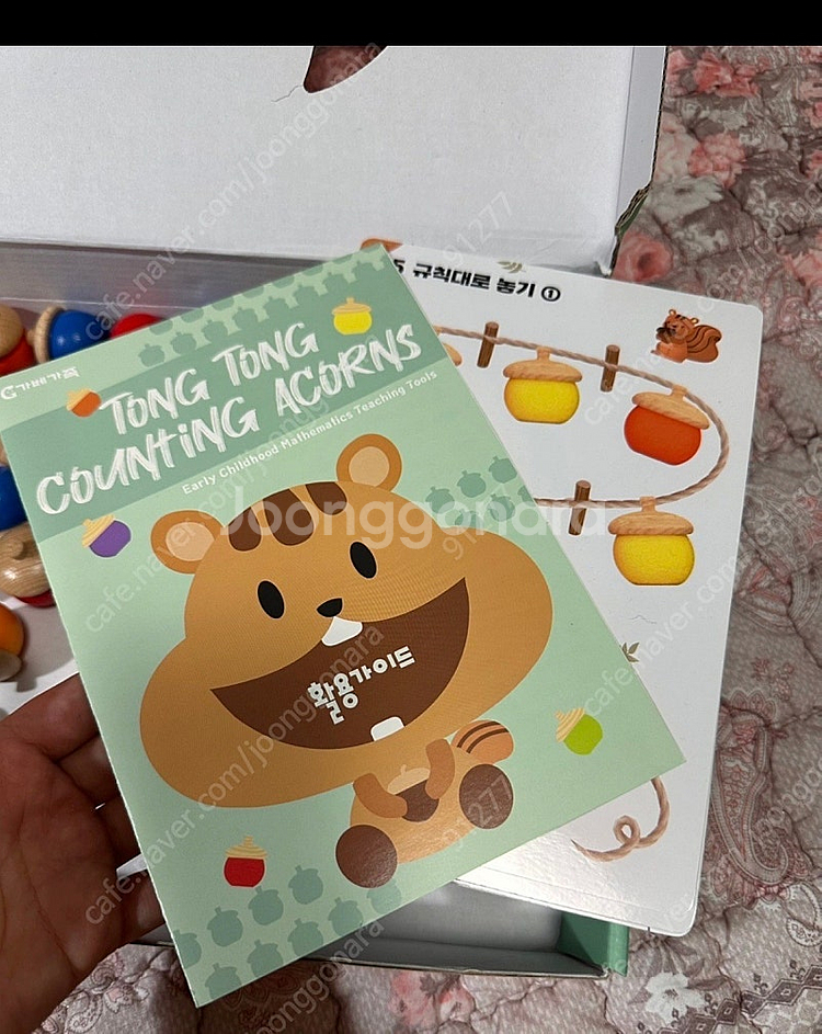가베가족 도토리카운팅--1