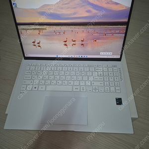 [풀박스] LG 그램 16Z90P-GAFEK (16인치/i5/NVMe SSD 512GB*2ea) 팝니다.