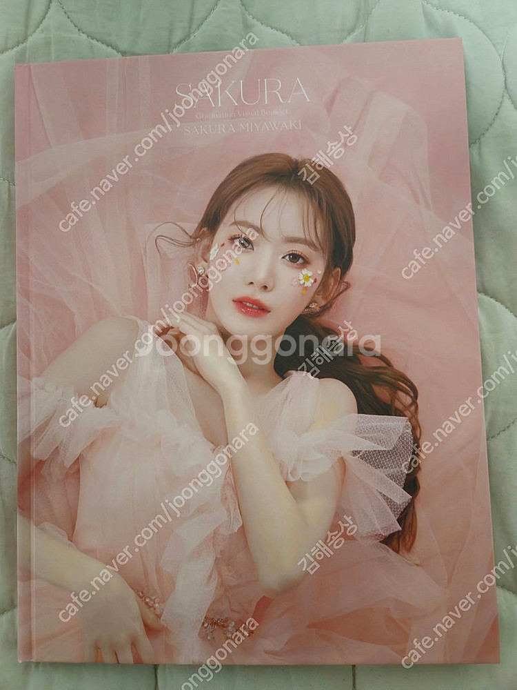 맥심 크레이지자이언트 아트그라비아 등 잡지 및 사진집 ...--3
