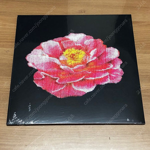 포스트말론 RSD 한정 Tribute To Nirvana LP