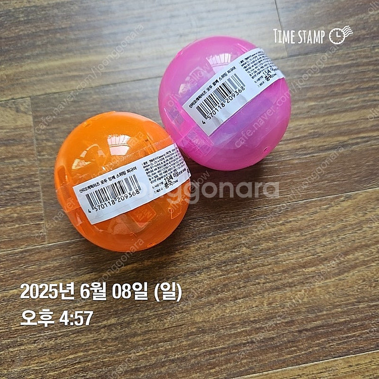 산리오 스위밍 피규어 가챠-헬로키티 2종 (태닝 포함)--0