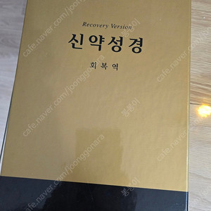 회복력 신약성경