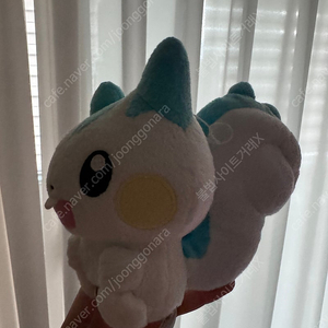 포켓몬 파치리스 인형