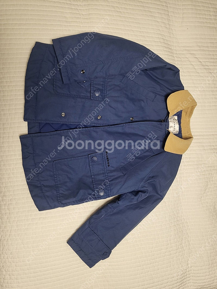 블루독 점퍼 및 셔츠--0