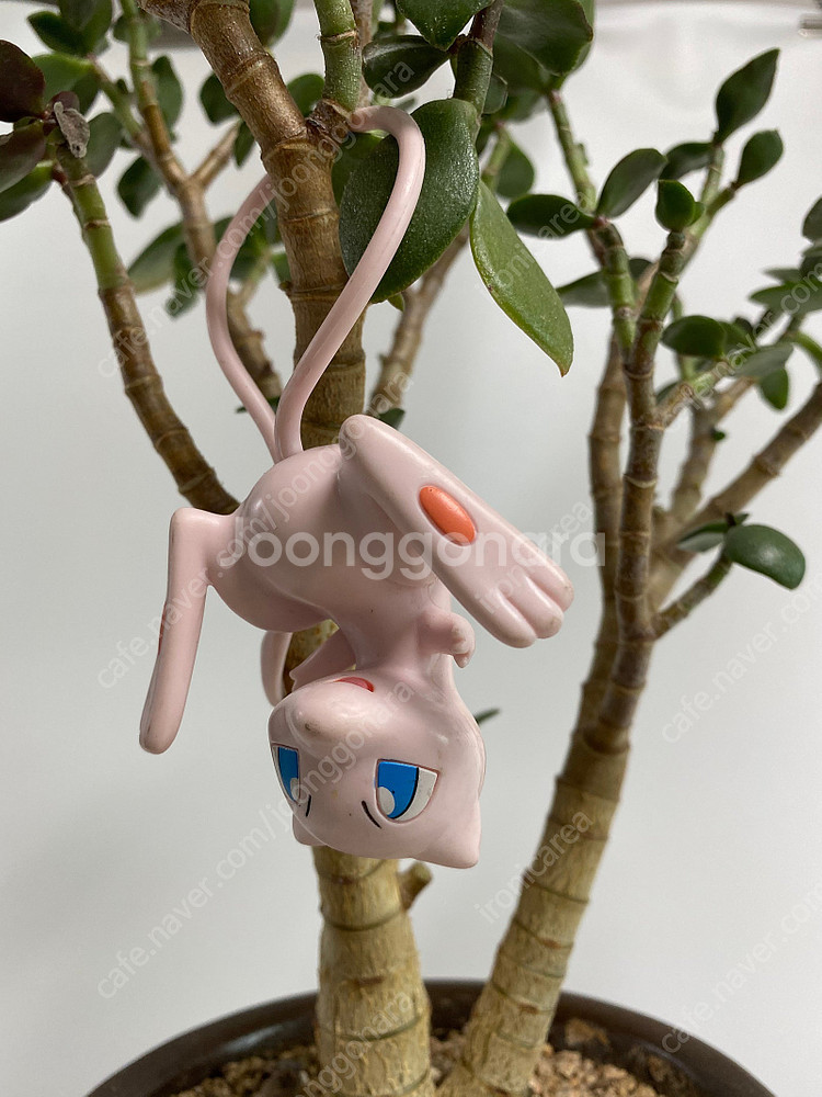 포켓몬스터 관련 피규어, 굿즈 판매합니다.--1