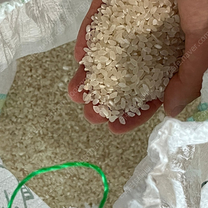 세종) 2024년 도정 백미 12kg