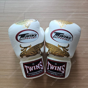 트윈스 격투기 복싱 글러브 12oz