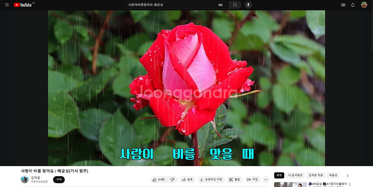 [개인] 최신 Win11프로 ssd하드에 설치 인터넷 ...--2