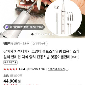 고양이 강아지 치석관리 초음파셀프스케일링