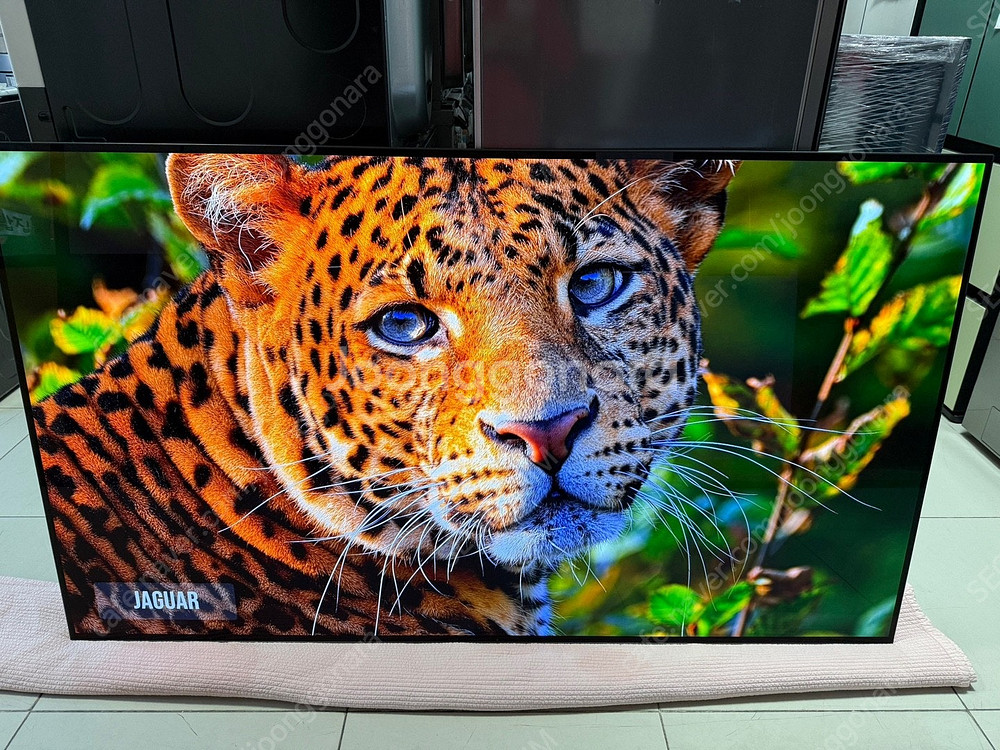 [판매]여름맞이세일/삼성NeoQLED85,LGOLED7...--8