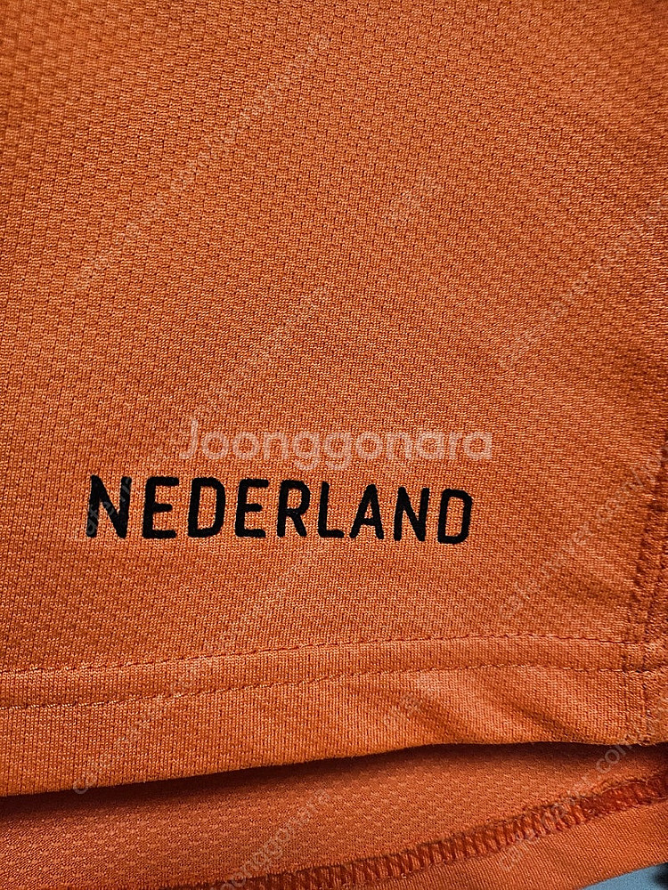 06-07 네덜란드 홈 반니스텔루이 (95)--3