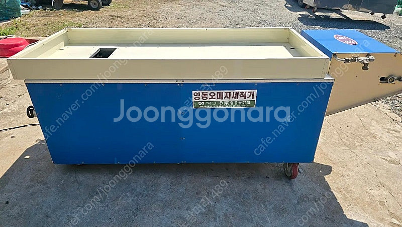 영동 오미자세척기--3