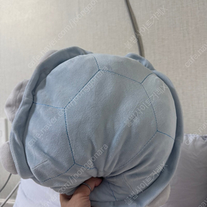 다이소 거북이 인형
