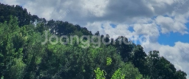 맘스터치 스타레일 리딤코드(쿠폰) 팝니다.--0