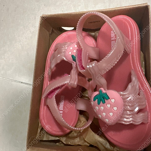 트윈컬렉티브 1y