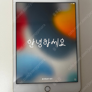 아이패드 미니4
