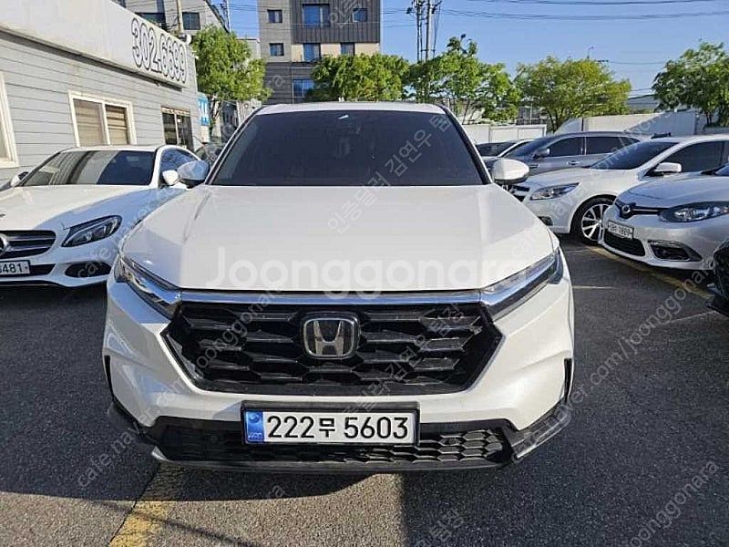 혼다 CR-V 중고 1.5 EX-L 2WD 최저가 중고...--6