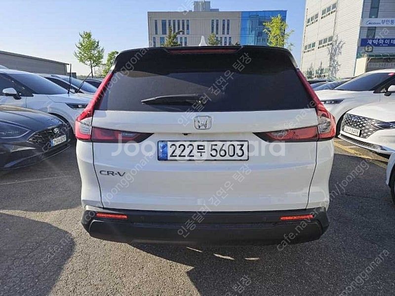 혼다 CR-V 중고 1.5 EX-L 2WD 최저가 중고...--8