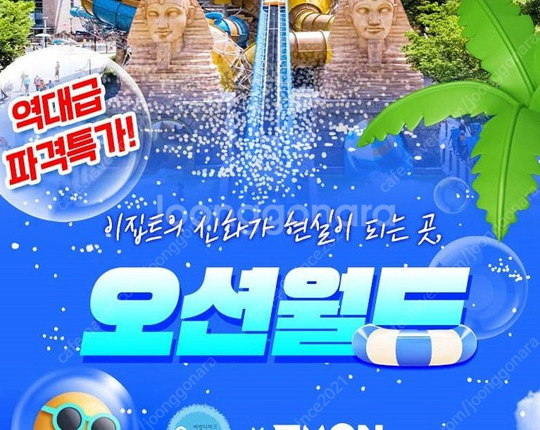(당일구입가능)홍천오션월드~델피노/삼척/변산/단양 오션...--0
