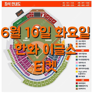 화요일 6월 10일 한화 이글스 두산 베어스 1루 3루 응원단석 내야 지정석 커플석 탁자석 포수 후면석 중앙 지정석 탁자석 외야 지정석 탁자석 밤켈존 잔디 한화 두산 야구 티켓 표