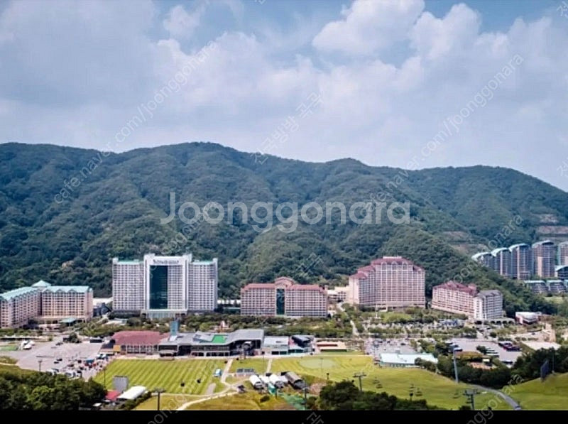 6월7월 홍천 비발디파크 소노펠리체 양도합니다--0