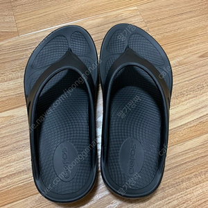 우포스 오리지널 쪼리