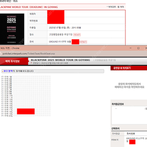 BLACKPINK WORLD TOUR 블랙핑크 월드투어 F11구역 단석