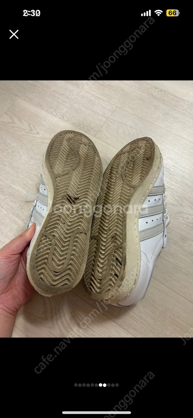 아디다스 슈퍼스타 250--3