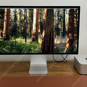 애플 스튜디오 디스플레이(apple studio display) + 높이 조절 스탠드