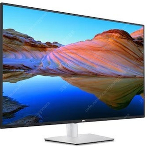 DELL U4323QE 모니터 구합니다
