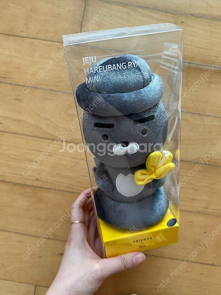 제주도 라이언 인형--0