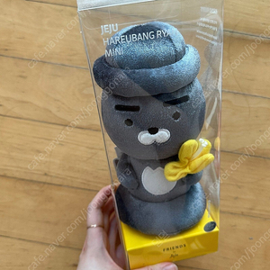 제주도 라이언 인형