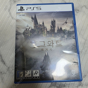 PS5 호그와트 레거시