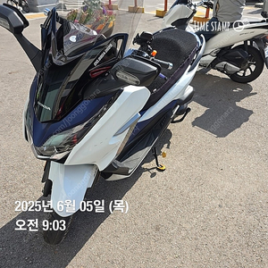 포르자300 신차 (경기남부)