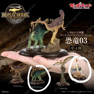 반다이 생물대도감 공룡 3탄 가챠