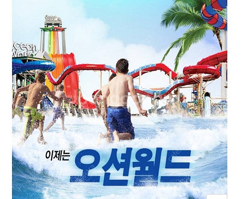 (당일구입가능)홍천오션월드~델피노/삼척/변산/단양 오션...--0