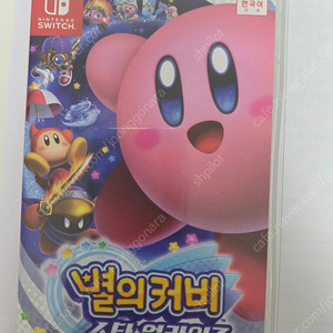 닌텐도 칩 판매