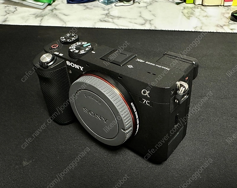 SONY A7C + SONY 55mm F1.8 ZA 이미지