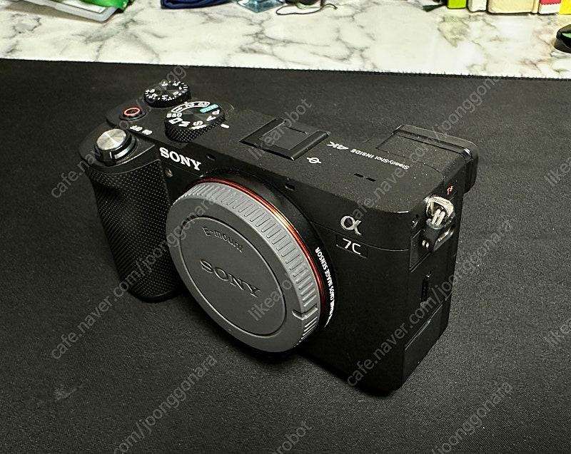 SONY A7C + SONY 55mm F1.8 ZA 이미지