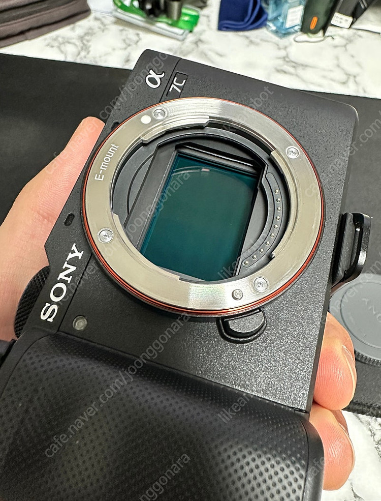 SONY A7C + SONY 55mm F1.8 ZA 이미지