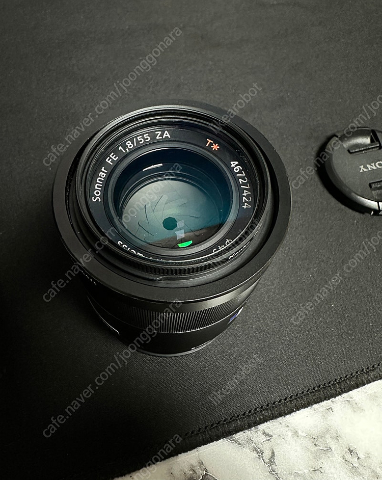 SONY A7C + SONY 55mm F1.8 ZA 이미지