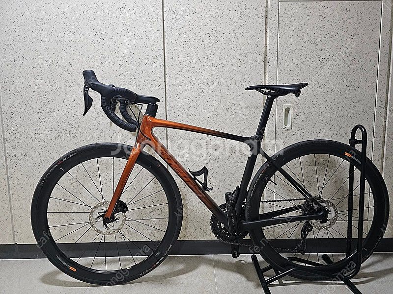 22 자이언트 TCR pro 0--0