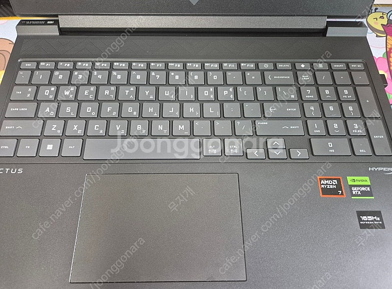 HP 빅터스 16 s1065AX rtx4060 팝니다--3