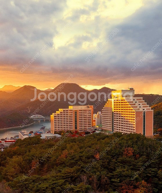 @6월14토21토28토 쏠비치 삼척/진도/양양~리솜 제...--0
